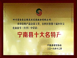 “石台翠竹园玉芽”荣获宁南县十大名特产证书