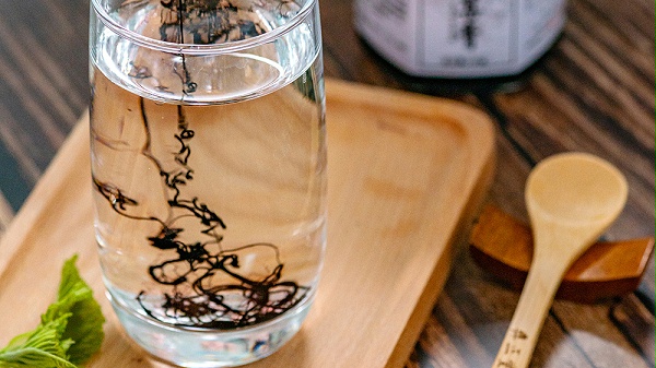 彝正堂桑椹膏