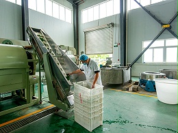 桑茶叶高温杀青区