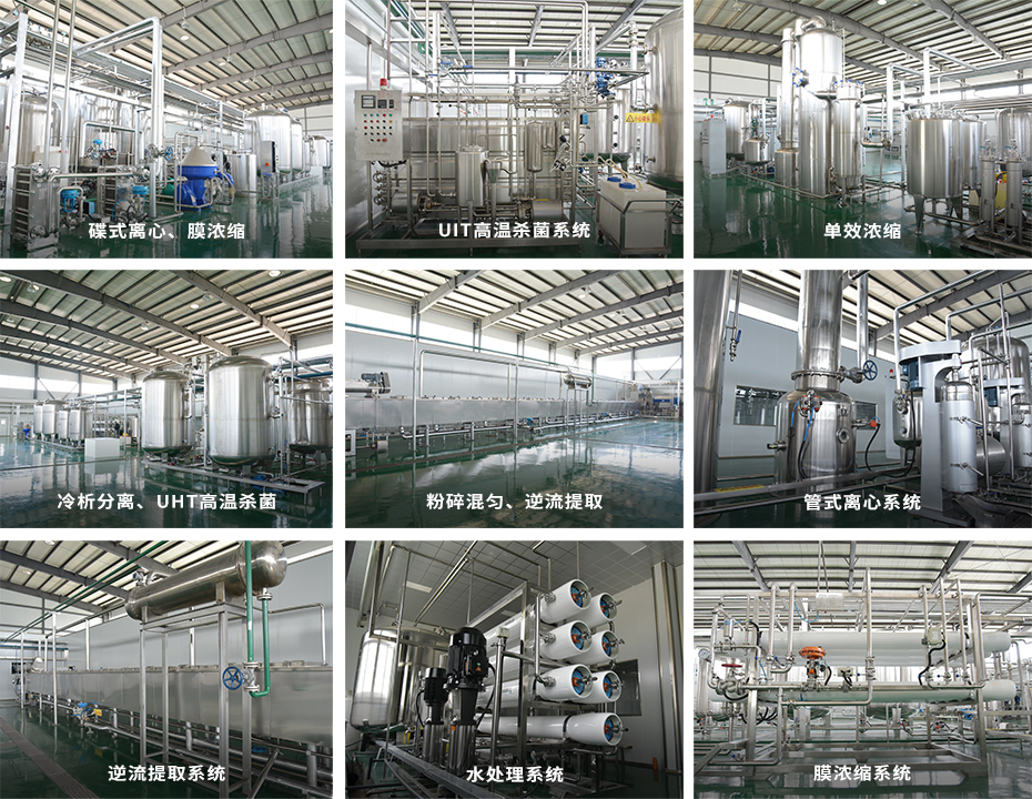 桑椹膏生产线