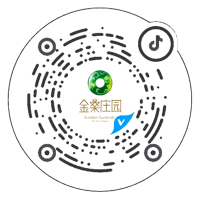 抖音二维码
