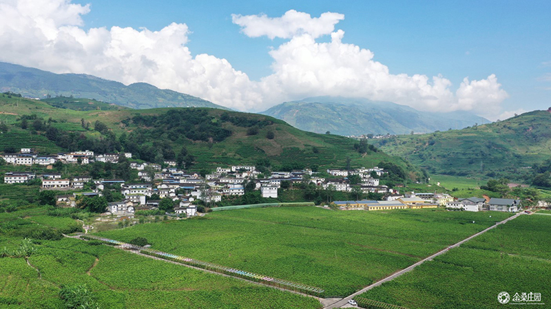 宁南县石台翠竹园山庄景区成功获评为国家3A级旅游景区